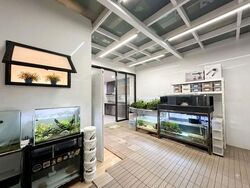 Dunsfold Drive (D13), Terrace #602943361